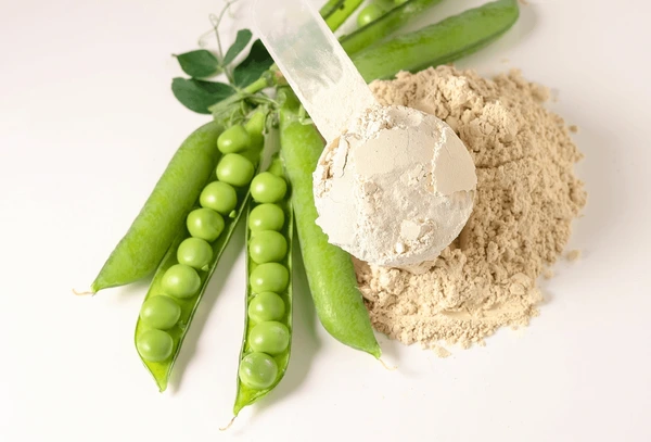 Mung and fava bean protein